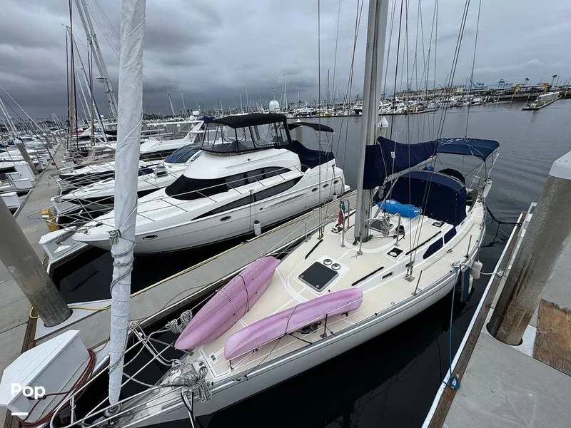 Slide: The Image of Morgan 45-4 Nelson-Marek 1985 - 15431623