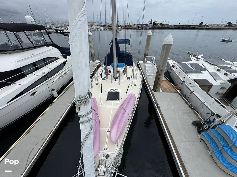 Slide: The Image of Morgan 45-4 Nelson-Marek 1985 - 15431624