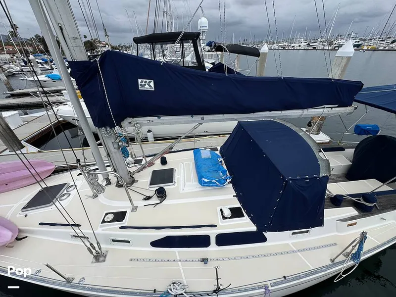 Slide: The Image of Morgan 45-4 Nelson-Marek 1985 - 15431632