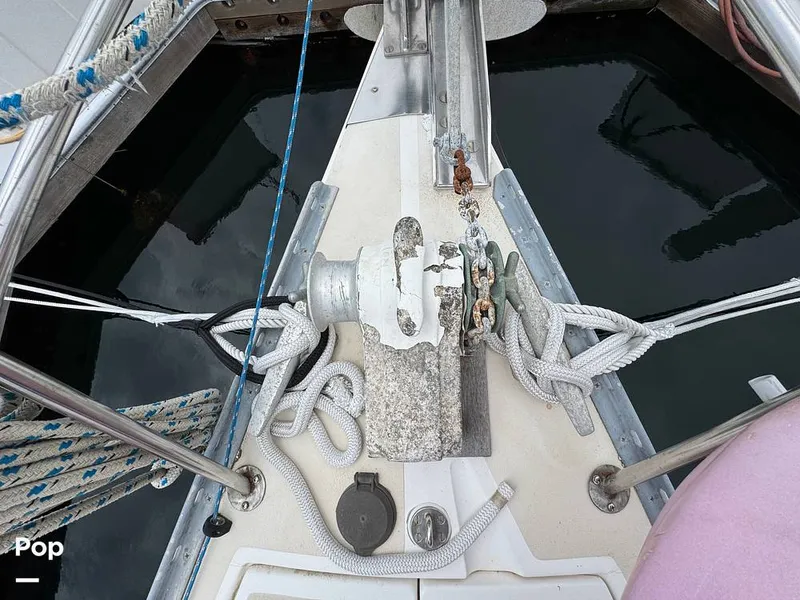 Slide: The Image of Morgan 45-4 Nelson-Marek 1985 - 15431634