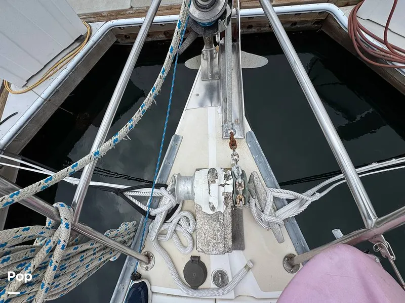 Slide: The Image of Morgan 45-4 Nelson-Marek 1985 - 15431635