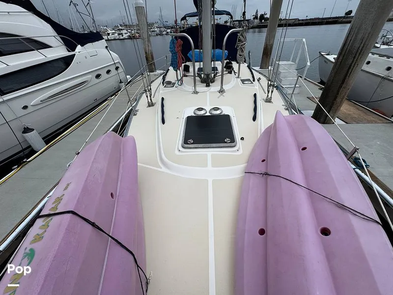 Slide: The Image of Morgan 45-4 Nelson-Marek 1985 - 15431636