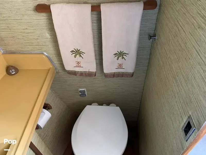 Slide: The Image of Chris-Craft Commander 1969 - 15422219