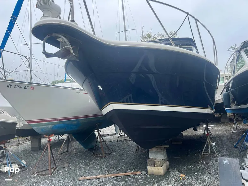 Slide: The Image of Bow Shot - 15464501