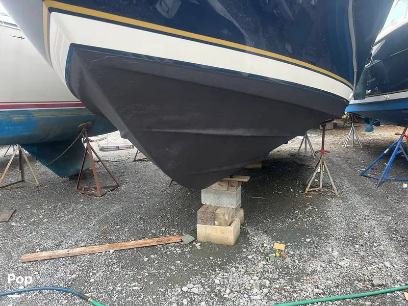 Slide: The Image of Bottom - 15464504