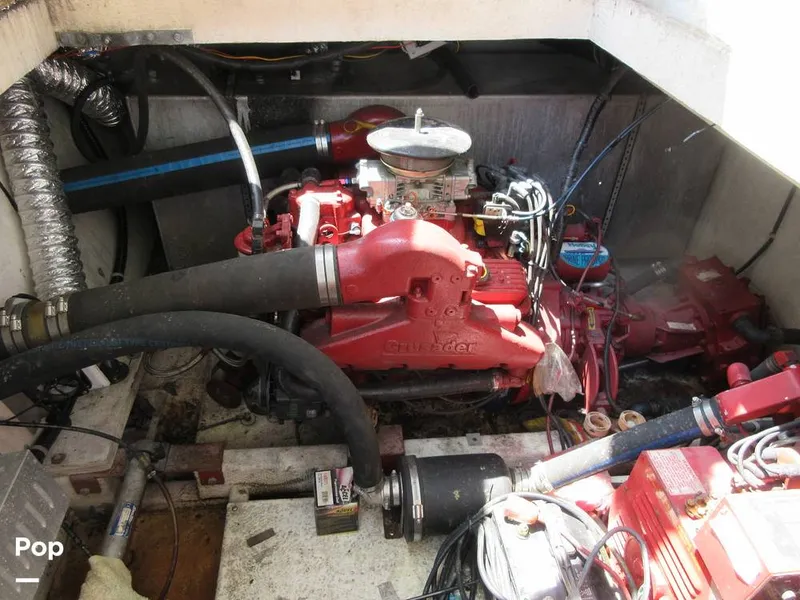 Slide: The Image of Gibson Sport Series 41 1997 - 15533391