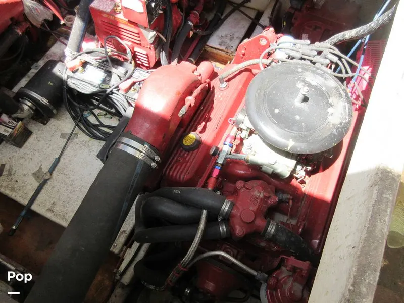 Slide: The Image of Gibson Sport Series 41 1997 - 15533392