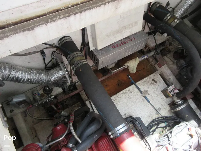 Slide: The Image of Gibson Sport Series 41 1997 - 15533396