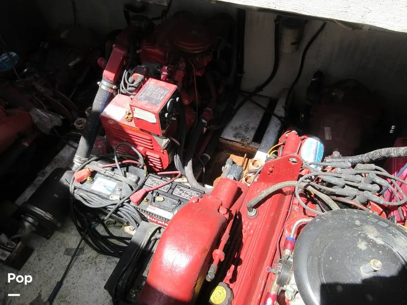 Slide: The Image of Gibson Sport Series 41 1997 - 15533397