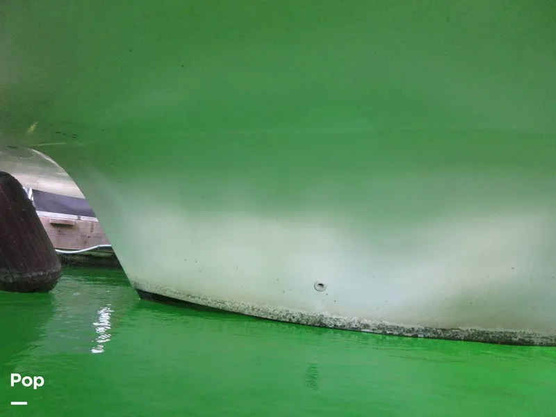 Slide: The Image of Gibson Sport Series 41 1997 - 15533335