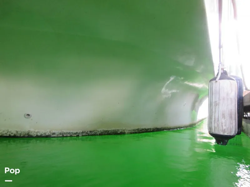 Slide: The Image of Gibson Sport Series 41 1997 - 15533336