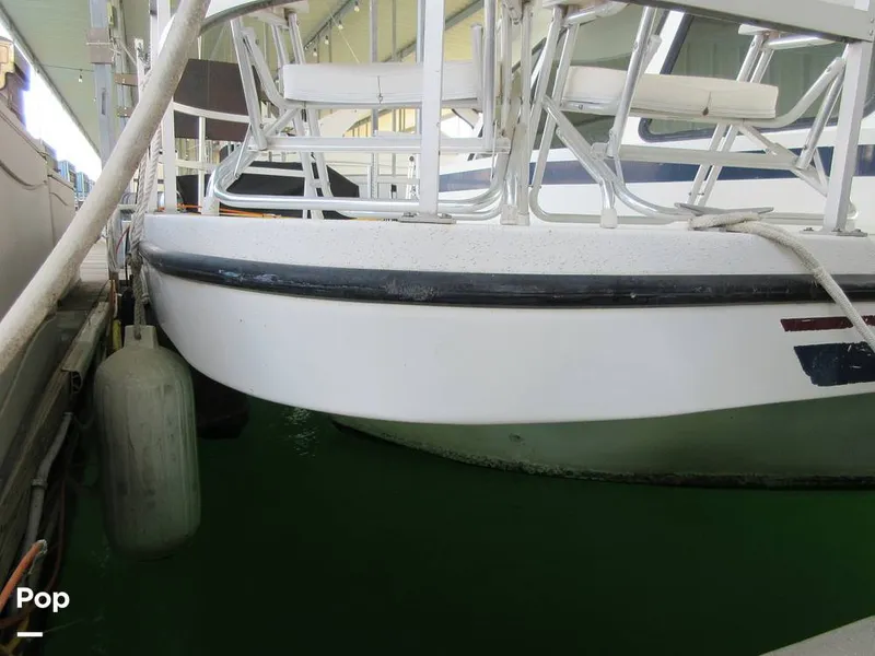 Slide: The Image of Gibson Sport Series 41 1997 - 15533338