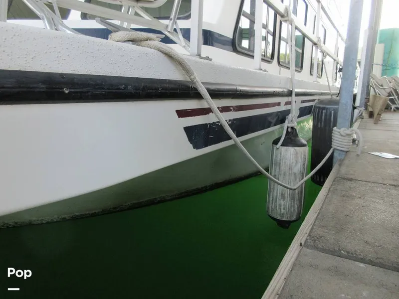 Slide: The Image of Gibson Sport Series 41 1997 - 15533339