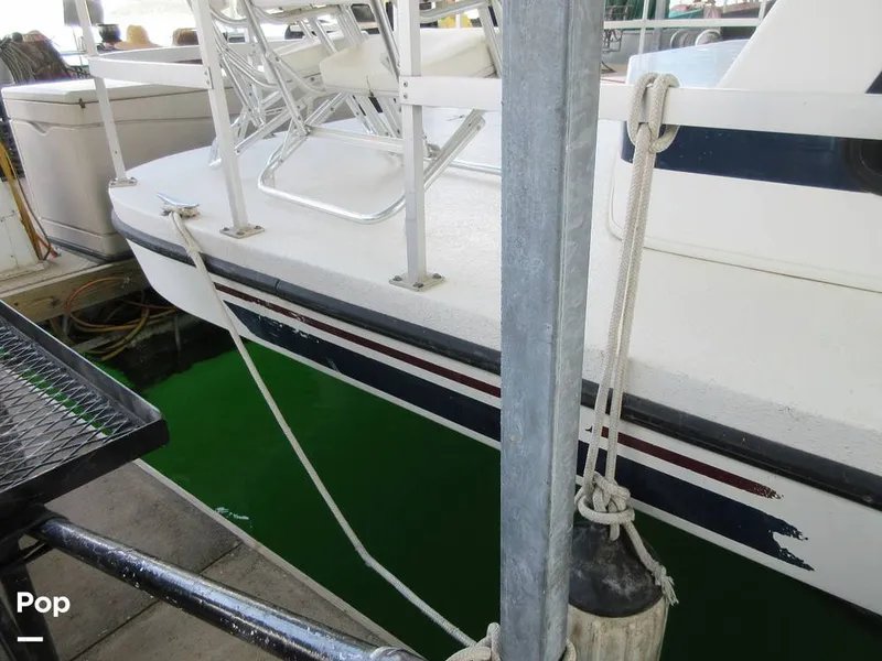 Slide: The Image of Gibson Sport Series 41 1997 - 15533342