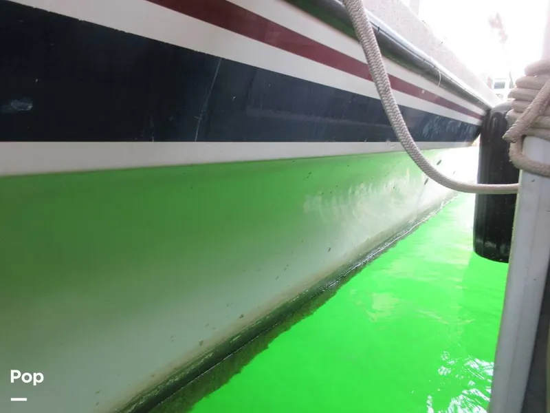 Slide: The Image of Gibson Sport Series 41 1997 - 15533346