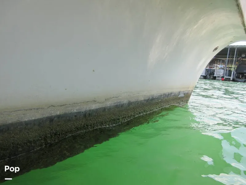 Slide: The Image of Gibson Sport Series 41 1997 - 15533350