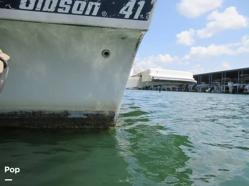 Slide: The Image of Gibson Sport Series 41 1997 - 15533351