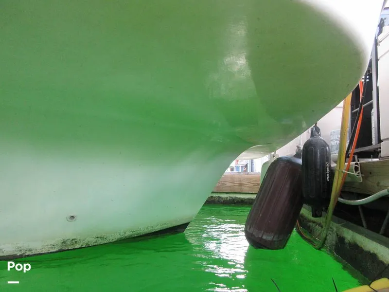 Slide: The Image of Gibson Sport Series 41 1997 - 15533354