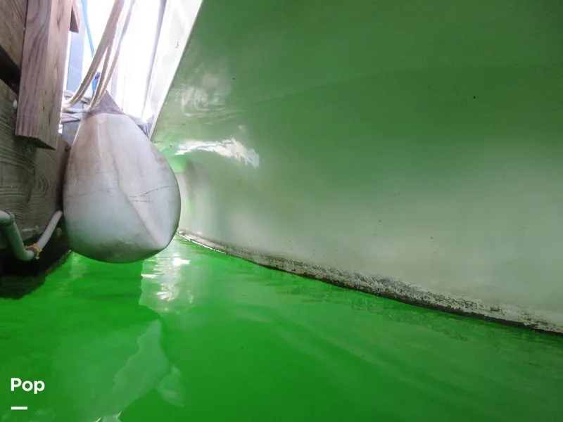 Slide: The Image of Gibson Sport Series 41 1997 - 15533355