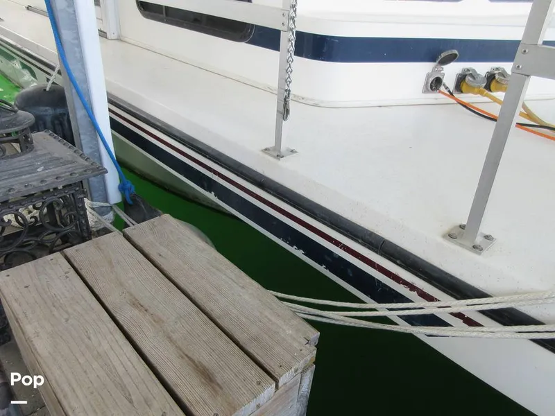 Slide: The Image of Gibson Sport Series 41 1997 - 15533356