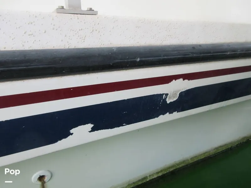 Slide: The Image of Gibson Sport Series 41 1997 - 15533359