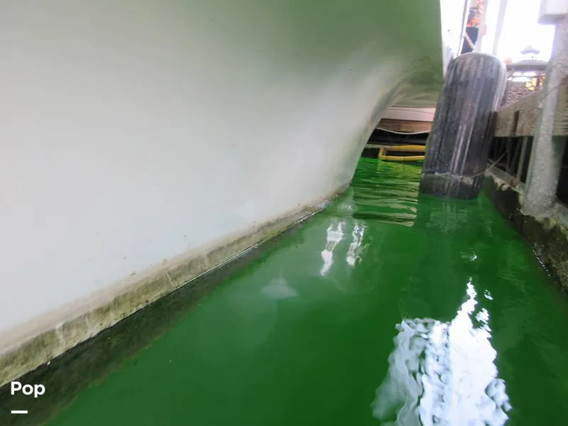 Slide: The Image of Gibson Sport Series 41 1997 - 15533360