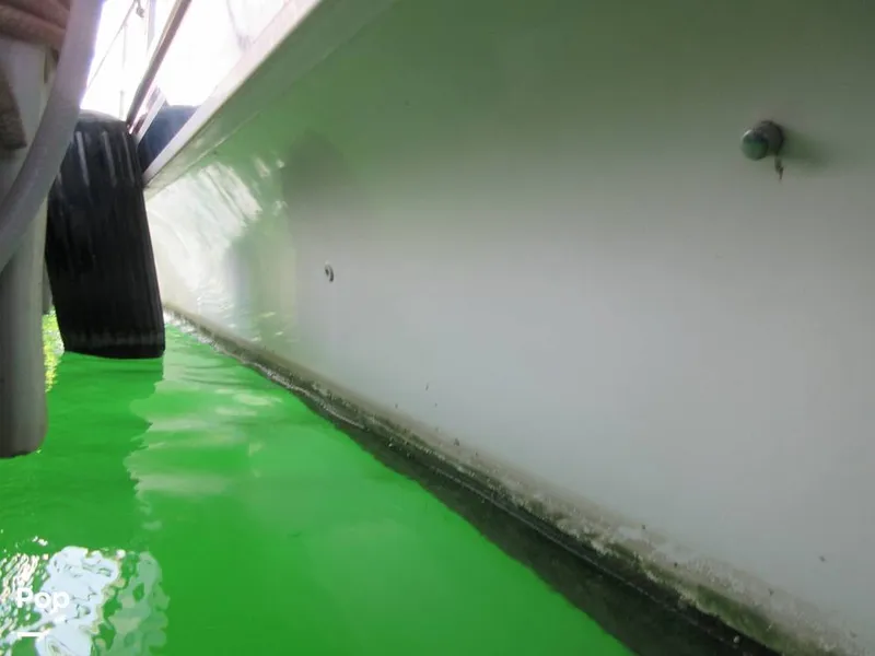 Slide: The Image of Gibson Sport Series 41 1997 - 15533361