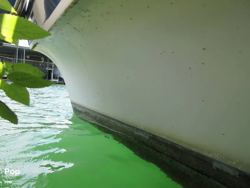 Slide: The Image of Gibson Sport Series 41 1997 - 15533364