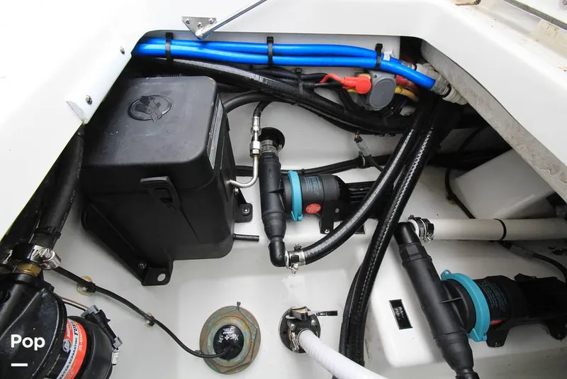 Slide: The Image of Blackfin 272 CC 2022 - 15533025