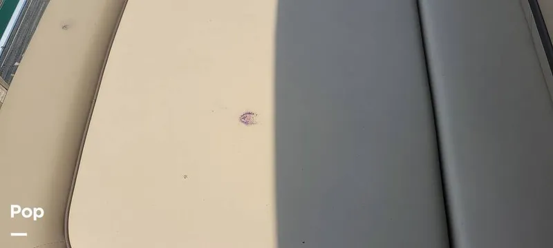Slide: The Image of Godfrey Sweetwater SW2286 2024 - 16662621