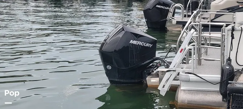 Slide: The Image of Godfrey Sweetwater SW2286 2024 - 15435546