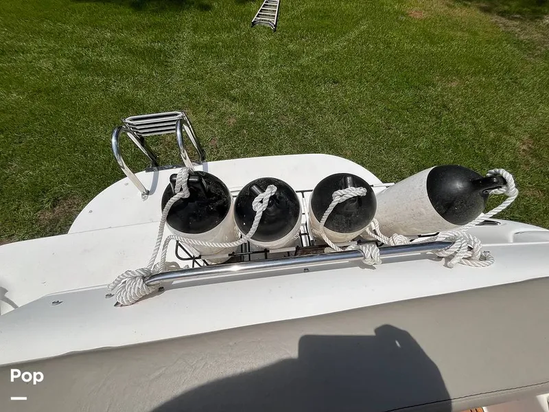 Slide: The Image of Larson 260 Cabrio 2008 - 15480374