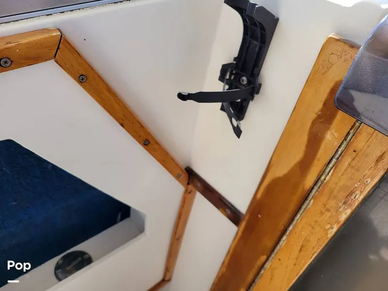 Slide: The Image of Hydra-Sports Vector 2500 WA 1990 - 15427904