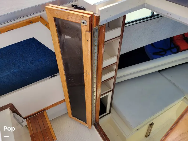 Slide: The Image of Hydra-Sports Vector 2500 WA 1990 - 15427910