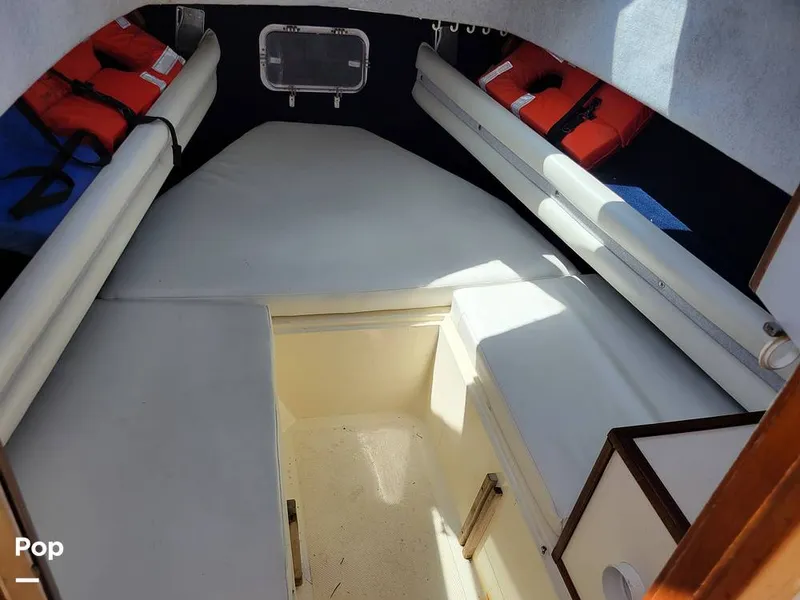 Slide: The Image of Hydra-Sports Vector 2500 WA 1990 - 15427911