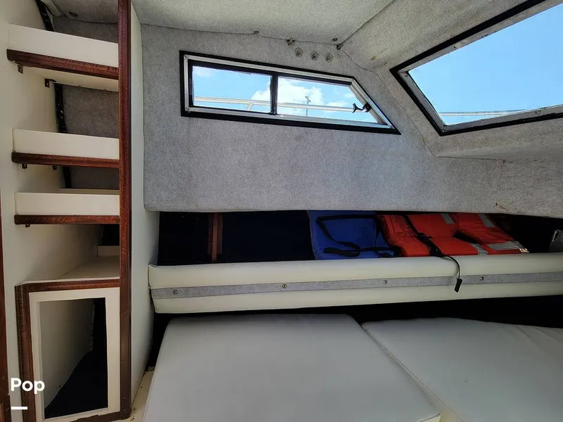 Slide: The Image of Hydra-Sports Vector 2500 WA 1990 - 15427914