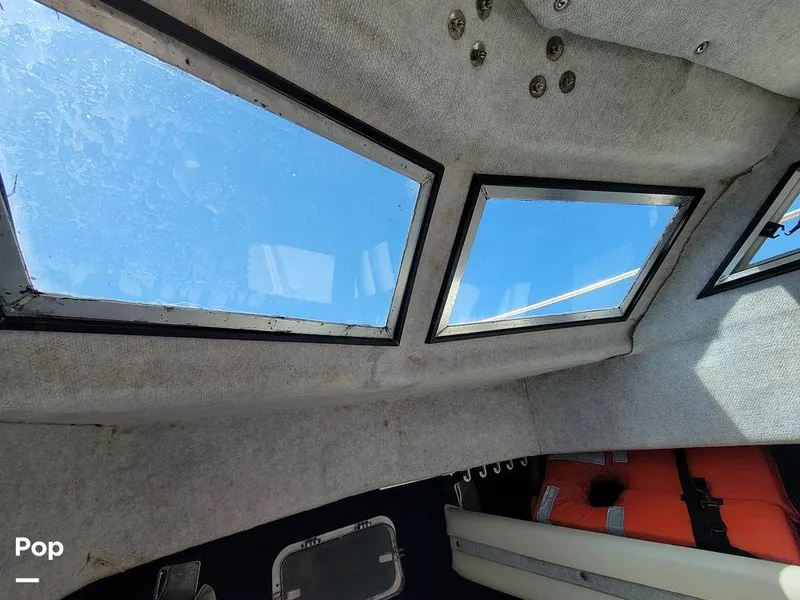 Slide: The Image of Hydra-Sports Vector 2500 WA 1990 - 15427917