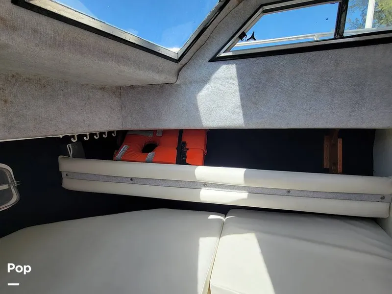 Slide: The Image of Hydra-Sports Vector 2500 WA 1990 - 15427918