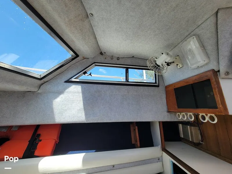 Slide: The Image of Hydra-Sports Vector 2500 WA 1990 - 15427919