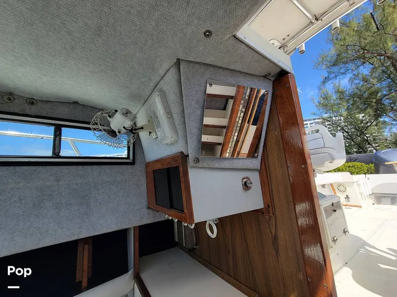 Slide: The Image of Hydra-Sports Vector 2500 WA 1990 - 15427921