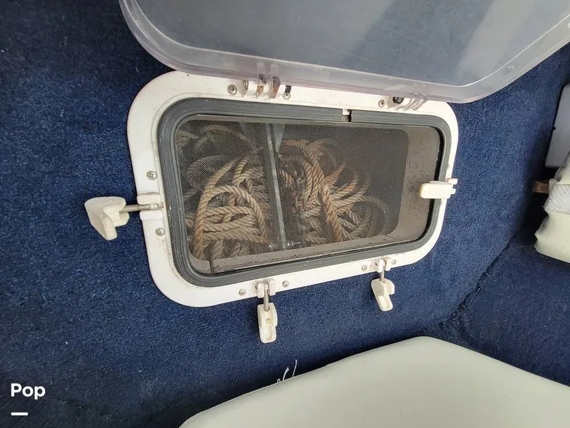 Slide: The Image of Hydra-Sports Vector 2500 WA 1990 - 15427923