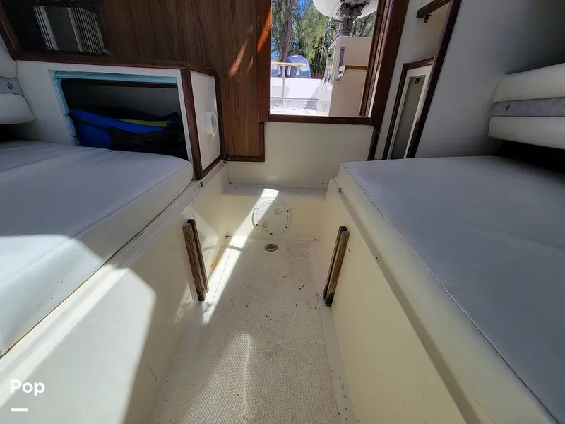 Slide: The Image of Hydra-Sports Vector 2500 WA 1990 - 15427925