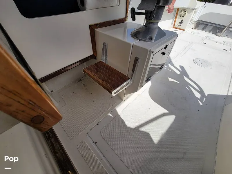 Slide: The Image of Hydra-Sports Vector 2500 WA 1990 - 15427926