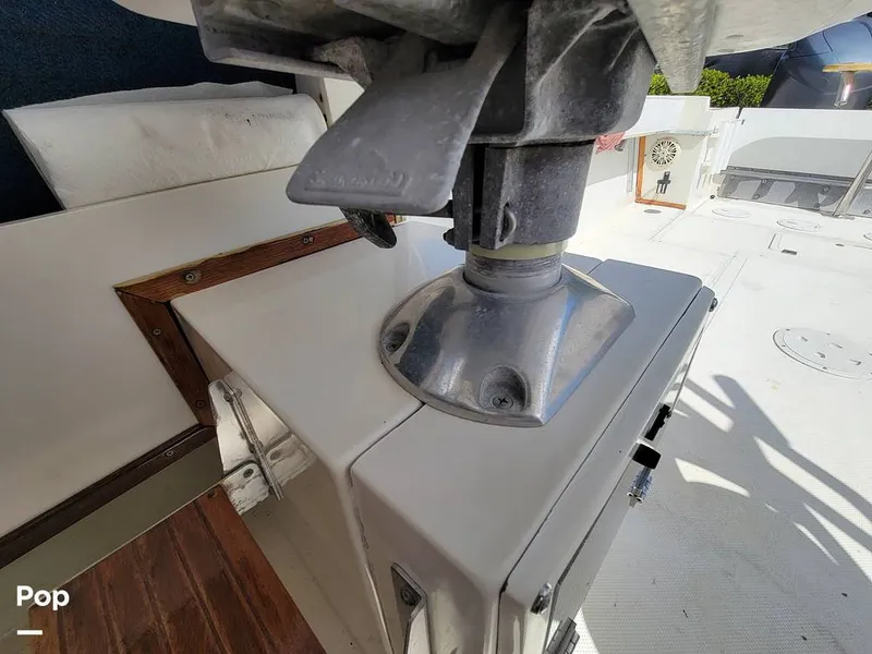 Slide: The Image of Hydra-Sports Vector 2500 WA 1990 - 15427930