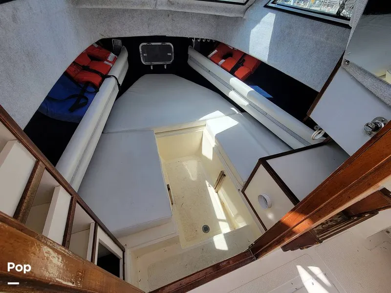 Slide: The Image of Hydra-Sports Vector 2500 WA 1990 - 15427912