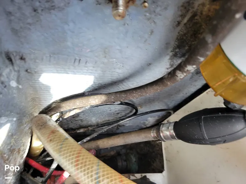 Slide: The Image of Hydra-Sports Vector 2500 WA 1990 - 15427938