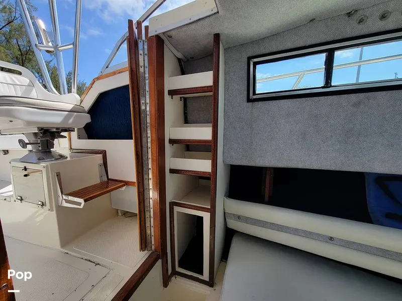 Slide: The Image of Hydra-Sports Vector 2500 WA 1990 - 15427913