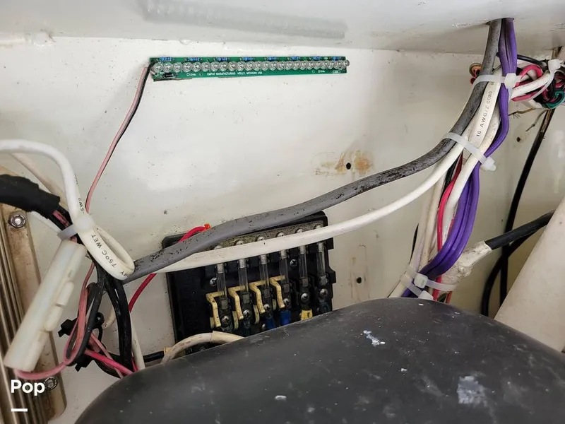 Slide: The Image of Hydra-Sports Vector 2500 WA 1990 - 15427949