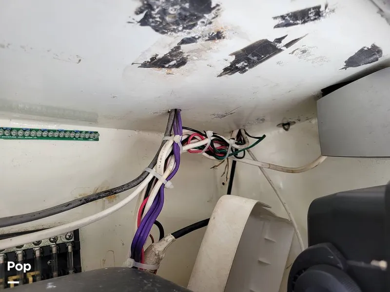 Slide: The Image of Hydra-Sports Vector 2500 WA 1990 - 15427950