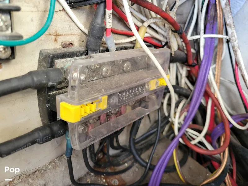 Slide: The Image of Hydra-Sports Vector 2500 WA 1990 - 15427956